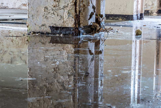 What are the different ways of detecting water damage in a residential building